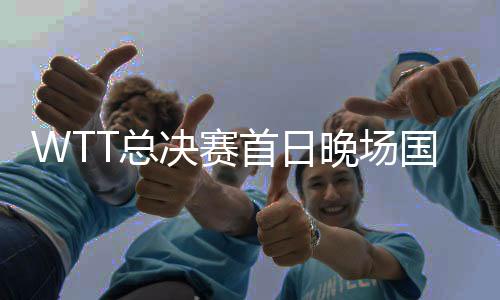 WTT总决赛首日晚场国乒3负日本 2对男双均被淘汰