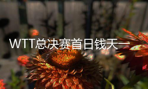 WTT总决赛首日钱天一王艺迪进8强 林高远一轮游