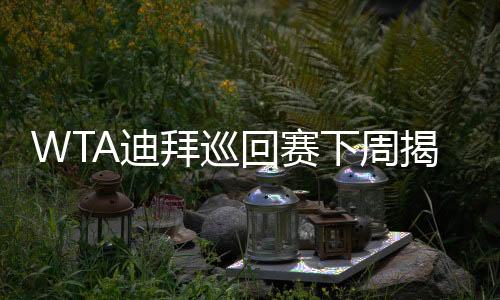 WTA迪拜巡回赛下周揭幕 泰国华欣赛变身“华赛”