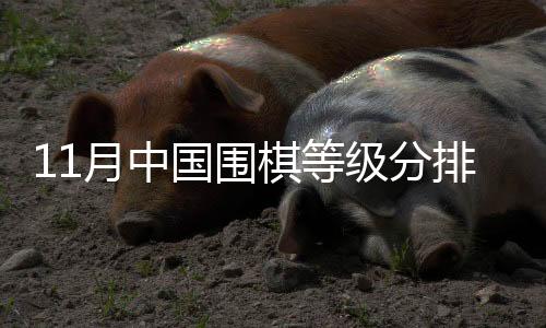 11月中国围棋等级分排名：丁浩继续领跑 柯洁第五