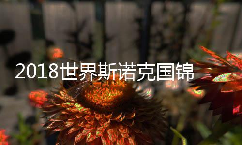 2018世界斯诺克国锦赛 马克艾伦击败史蒂文斯进决赛