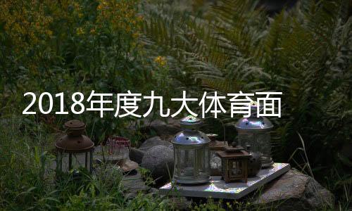 2018年度九大体育面孔完整榜单 2018全年体育热点人物