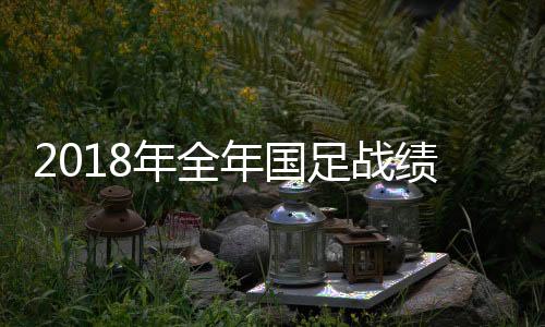 2018年全年国足战绩回顾 全年胜率不足3成武磊进5球