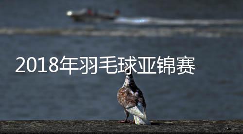 2018年羽毛球亚锦赛谌龙无缘男单冠军 0比2不敌桃田贤斗