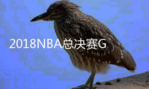 2018NBA总决赛G4勇士108