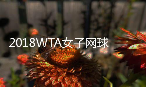 2018WTA女子网球最新世界排名 单打、双打（8月13日）