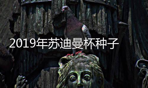 2019年苏迪曼杯种子队伍积分排名 中国队成二号种子队