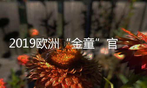 2019欧洲“金童”官宣  葡萄牙新星费利什得奖