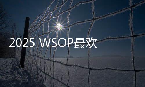 2025 WSOP最欢乐赛事！双人赛变装秀火了，公主、蔬菜、姐妹花全登场！