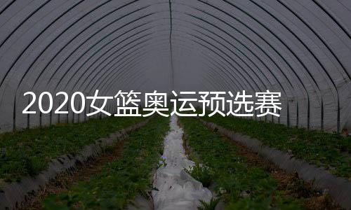 2020女篮奥运预选赛发布会 姚明幽默回答记者提问