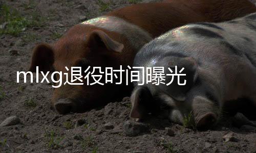 mlxg退役时间曝光 rng打野选手MLXG什么时候退役离队