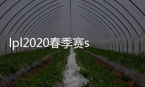 lpl2020春季赛sn名单 SN战队春季赛出征队员大名单